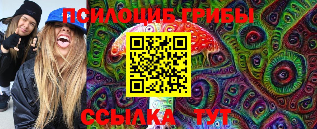 Псилоцибиновые грибы мицелий Бор